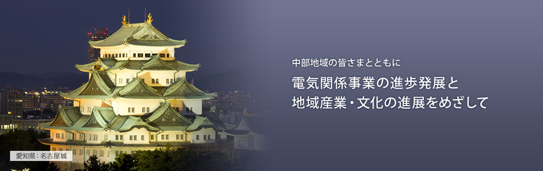 中部地域の皆さまとともに電気関係事業の進捗発展と地域産業・文化の進展をめざして 愛知県：名古屋城