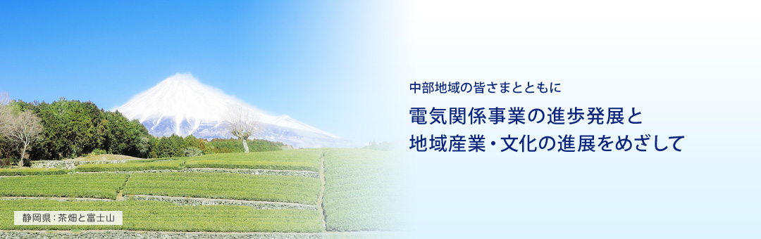 中部地域の皆さまとともに電気関係事業の進捗発展と地域産業・文化の進展をめざして 静岡県：茶畑と富士山