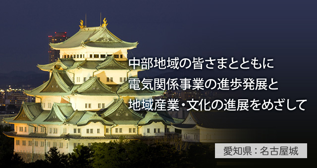 中部地域の皆さまとともに電気関係事業の進捗発展と地域産業・文化の進展をめざして 愛知県：名古屋城